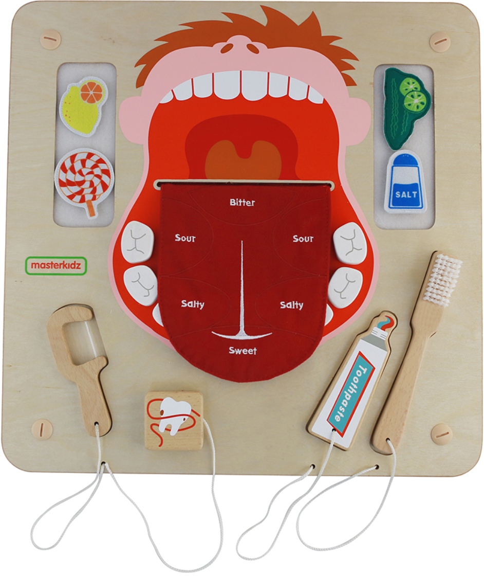 Wall Elements - Oral Care Learning Board