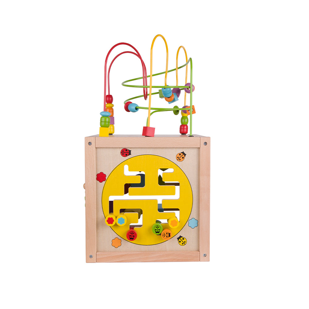 Multi-Activity Cube - NEW TOY ALERT!