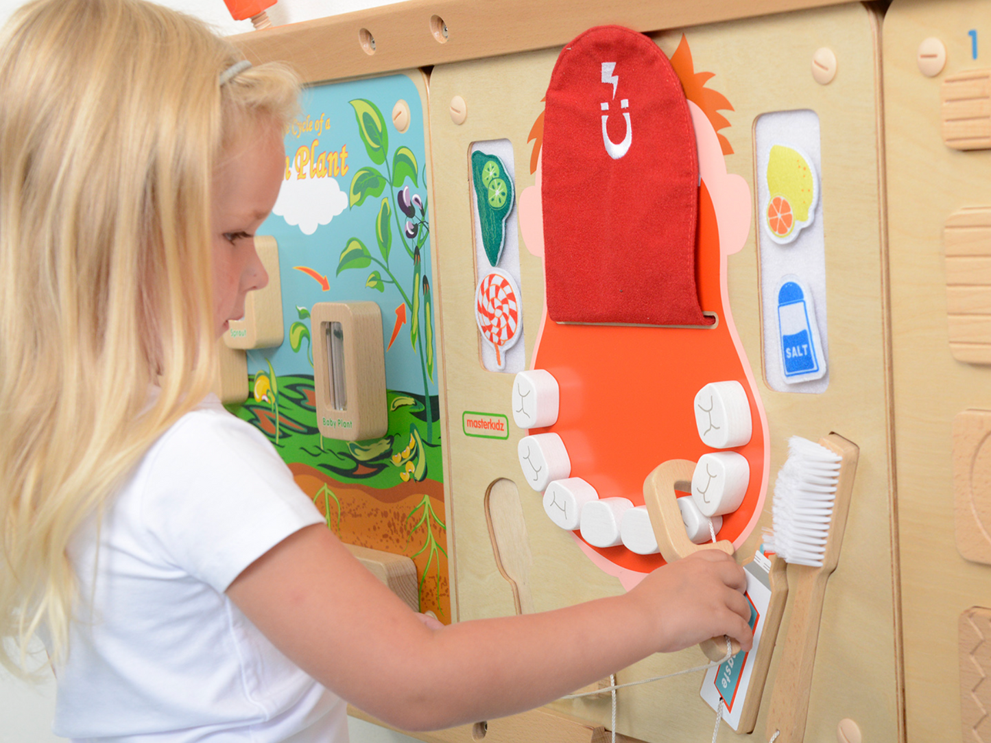 Wall Elements - Oral Care Learning Board