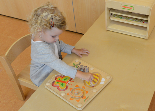 Magnetic Sliding Maze - Insect World
