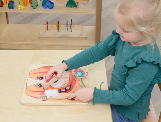 Oral Health Learning Toy